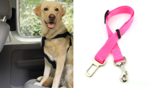 Koiran turvavyö automatkalle, lemmikin turvavyö